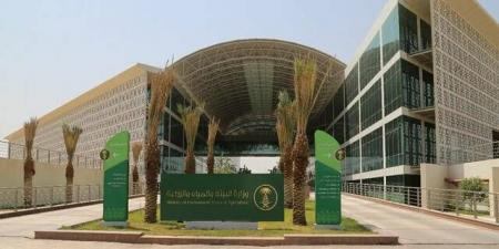 "بيئة القصيم" تطرح فرصة استثمارية لإنشاء منشأة تحويلية لمتبقيات النخيل