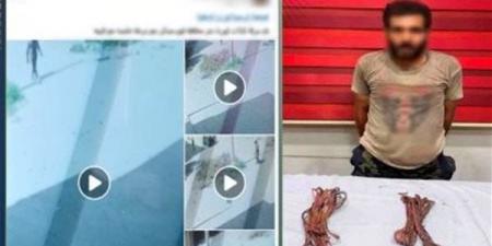 ليلة سرقة الكابلات انتهت بالقبض عليه، سقوط لص أعمدة الإنارة في الفيوم