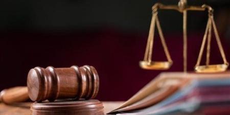 تأجيل استئناف عاطل على حرق توك توك جاره في المرج لجلسة 10 أغسطس