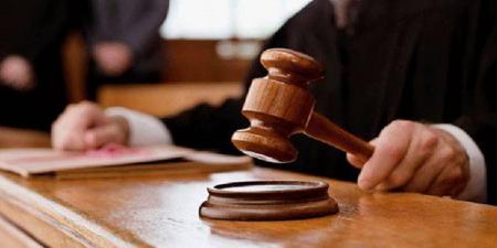 تفاصيل صفقة "القات" الأخيرة والحكم على أجانب بالسجن 15 سنة وغرامة نصف مليون جنيه
