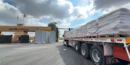 الهلال الأحمر يطلق القافلة الـ 252 من "زاد العزة" إلى غزة بأكثر من 4 آلاف طن مساعدات (صور)