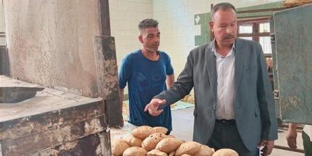 تحرير 516 محضرا وضبط 5.4 طن لحوم ودواجن فاسدة بأسيوط