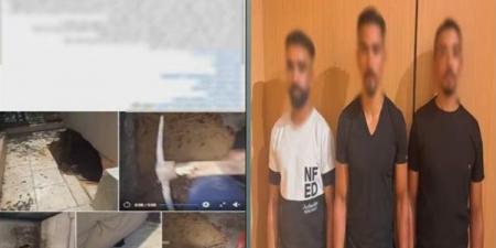 خلافات الجيران تصل إلى قسم الشرطة، ضبط 3 أشخاص بالمقطم ومتهم في مشادة ببنها