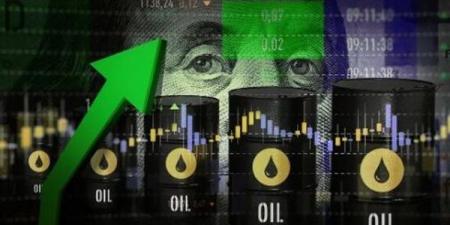 مؤشر أسعار النفط يصعد بنسبة 1.78 % والبرميل يسجل 85.20 دولار