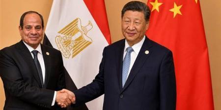 الرئيس الصيني: يجب تعزيز التعاون مع مصر في التعليم والسياحة والتكنولوجيا والصحة والرياضة