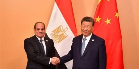 خبيرة اقتصادية عن زيارة الرئيس الصيني لمصر: تفتح آفاقا جديدة و7.4 مليار دولار استثمارات بكين في تيدا