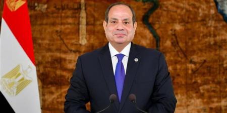 السيسي: نسعى لجذب المزيد من الصناعات الصينية إلى مصر
