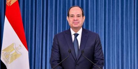 القطار الكهربائي، السيسي يستعرض إسهامات الشركات الصينية في المشروعات القومية