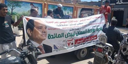 بعد وصوله لـ115، تراجع أسعار البيض في فرشوط بقنا والطبق يسجل 75 جنيها بالأسواق