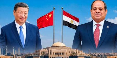 أرسته مصر، الصين تثمن مبدأ الاتزان الاستراتيجي باعتباره يدعم التعددية الدولية
