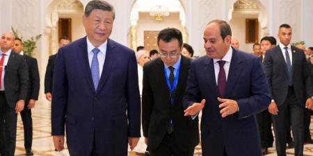 السيسي ينجح في الحفاظ على مصالح مصر بملفات الأمن والاستقرار والتنمية.. التمسك بسياسة الاتزان الاستراتيجى كوجهة للسياسة الخارجية المصرية.. والتغلب على التحديات العالمية