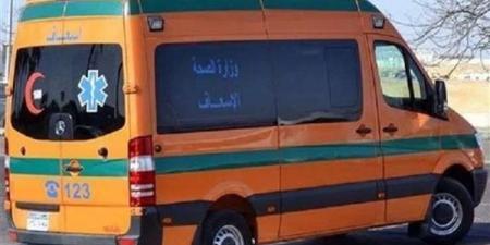 كانت راجعة من الحضانة، استمرار التحقيقات لكشف تفاصيل مصرع طفلة أوسيم "كيان"