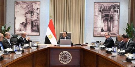 الطروحات الحكومية مستمرة.. شركات الدولة تحت خطة إعادة الهيكلة والتطوير