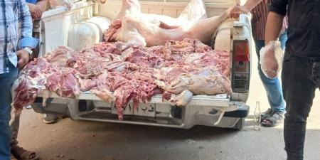 حملة تموينية بالفيوم تضبط سيارة محملة بـ400 كيلو لحوم فاسدة