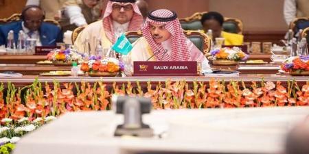 السعودية تشدد على أمن الخليج وحرية الملاحة في "هرمز" خلال قمة "بريكس"