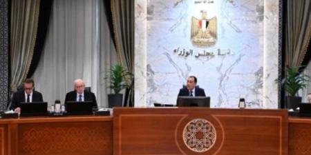 4 جهات تابعة للوزير.. قرار حكومة بإعادة تنظيم وزارة التموين