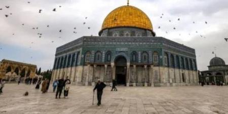 دائرة القدس: استهداف البنية السكنية بالمدينة سياسة لإعادة تشكيل الواقع الجغرافي