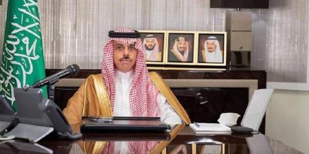 وزير الخارجية: أمن الممرات المائية مسؤولية دولية مشتركة