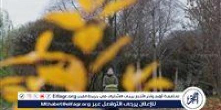 حالة الطقس اليوم الاثنين 28 سبتمبر 2026.. أجواء خريفية وأمطار خفيفة والعظمى بالقاهرة 32 درجة