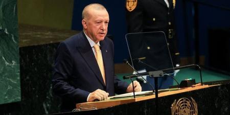 أردوغان: أزمة الصناديق الاستثمارية لا تمثل خطورة على النظام المالي التركي