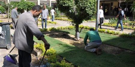 بعد فيديو قطع الأشجار، تجارة عين شمس تعيد زرع الحرم الجامعي (صور)