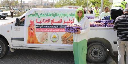 بتخفيضات 25%..«الزراعة» تطرح بيض المائدة في سيارات بالقاهرة والجيزة