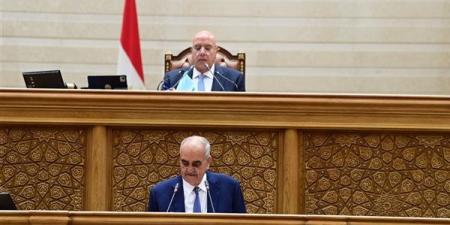 "قانون نص الليل"، نائب يفتح النار على الحكومة بسبب تأجيل الإجراءات الجنائية: "من أمتى بتكون جاهزة؟!"