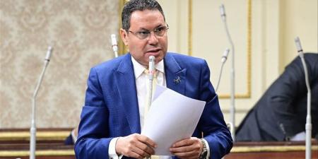 هشام الحصرى يستعرض أسباب مشروع قانون تأجيل تطبيق "الإجراءات الجنائية"