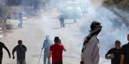 بقنابل الصوت والغاز المسيل للدموع… الاحتلال يمنع أهالي بلدة بيتا من قطف الزيتون