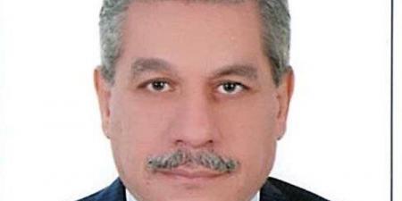 الدكتور أمين لطفي يكتب: التمكين المؤسسي للقطاع الخاص في الجمهورية الجديدة.. الداء والدواء