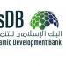 مجموعة البنك الإسلامي للتنمية تتعاون مع وزارة الصناعة والتكنولوجيا في تركيا لإعداد مشروع مناطق صناعية