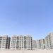 برامج التملك السكني وتطوير المخططات والأحياء تعزز نمو القطاع العقاري بالمدينة المنورة