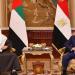 السيسي يستقبل رئيس الإمارات بقصر الاتحادية (فيديو)