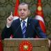 أردوغان: لا أحد يستطيع منع تركيا من شراء مقاتلات «إف-35»