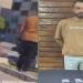 ضبط عاطل ظهر في فيديو بحالة عدم اتزان تحت تأثير المخدرات بالقليوبية