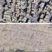 أنجلينا جولي للعالم: افتحوا الآن جوجل إيرث لرؤية حجم الدمار في غزة