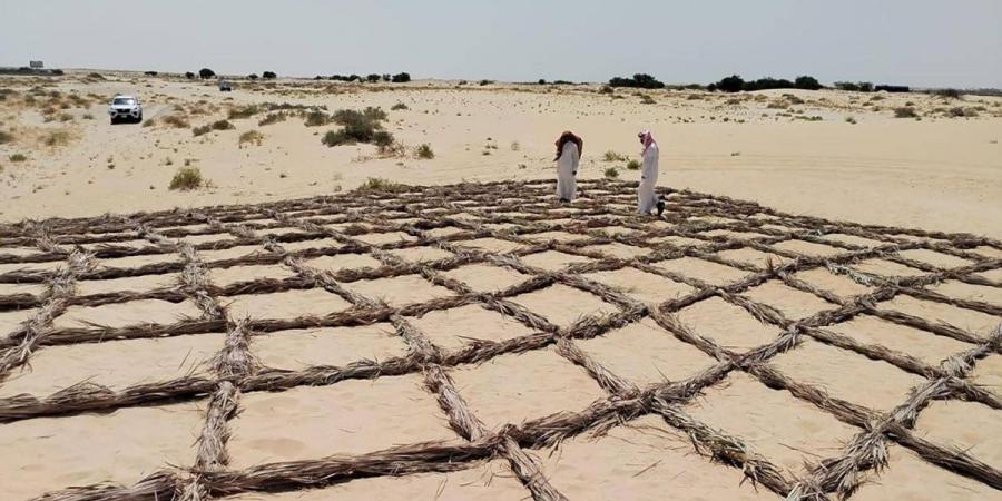 «الفاو» تجدد التزامها بدعم استعادة الأراضي وتعزيز الاستدامة البيئية في اليوم العالمي لمكافحة التصحر والجفاف