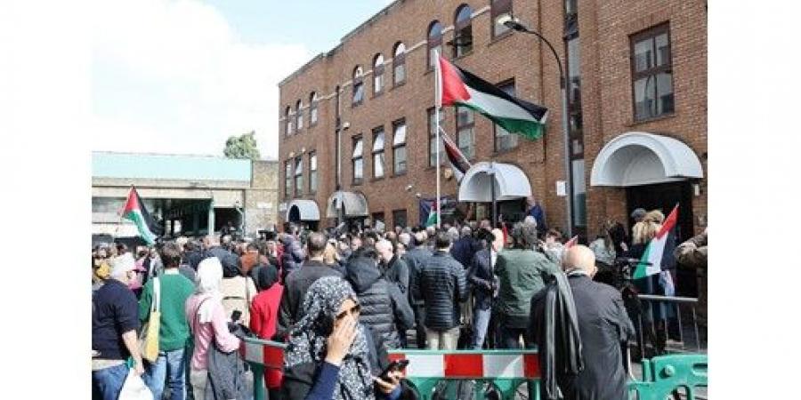 تزايد
الاعتراف
بالدولة
الفلسطينية..
وترامب
يأمل
في
تسوية
بغزة