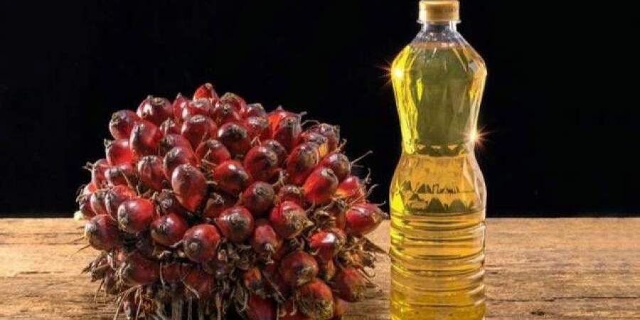 انخفاض
      أسعار
      زيت
      النخيل
      إلى
      أدنى
      مستوى
      في
      ستة
      أسابيع