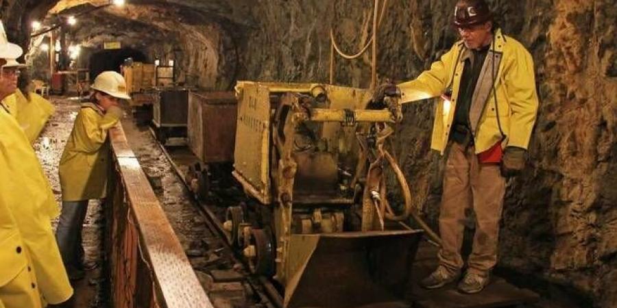 أسهم
      شركات
      الذهب
      تحقق
      قفزة
      قياسية
      في
      2025
      بنسبة
      135%