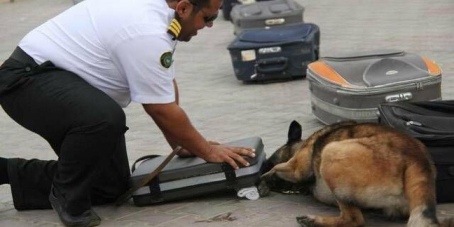 1509
      عملية
      ضبط
      في
      المنافذ
      الجمركية
      خلال
      أسبوع..
      والأسلحة
      والمخدرات
      في
      الصدارة