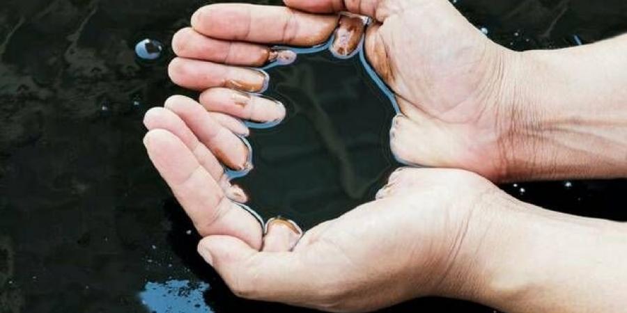 النفط
      يرتفع
      عند
      التسوية
      مع
      توقيع
      اتفاق
      شرم
      الشيخ
      للسلام
      بين
      إسرائيل
      وحماس