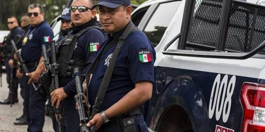 الشرطة المكسيكية تقتل 13 عضواً في كارتل مخدرات