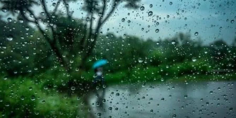 أمطار رعدية تضرب شمال مصر.. والأرصاد تحذر من رياح مثيرة للأتربة