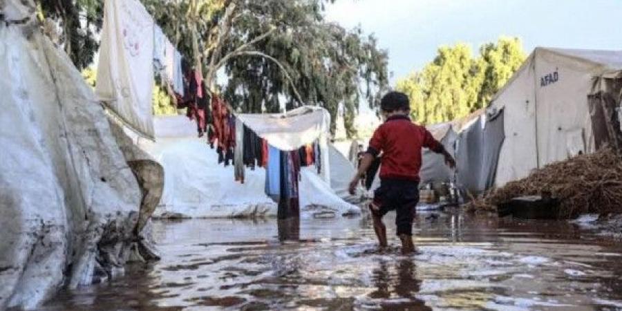 منظمات إغاثة:غزة بلا خيام ولا أغذية كافية مع اقتراب الشتاء