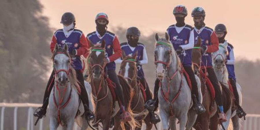 «الإسطبلات الخاصة» يدشّن فعاليات كأس رئيس الدولة للقدرة