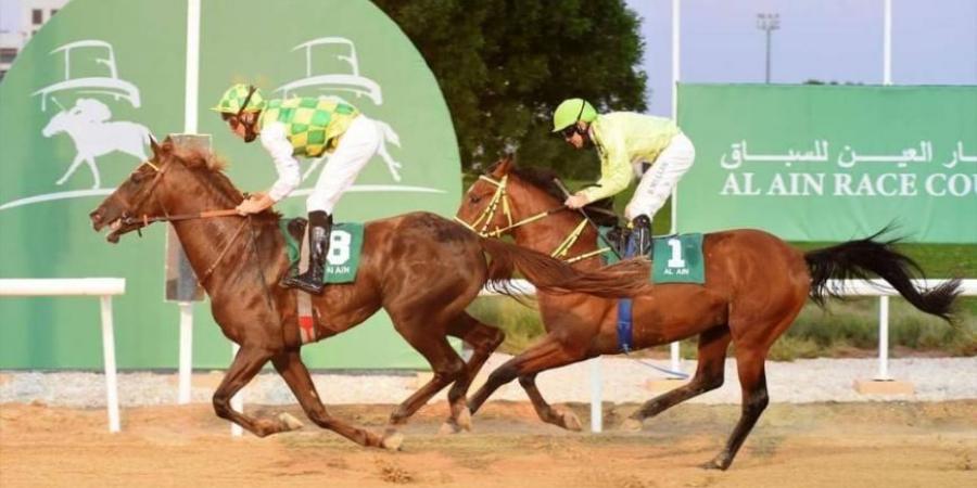 102 خيل في حفل السباق الرابع على مضمار العين