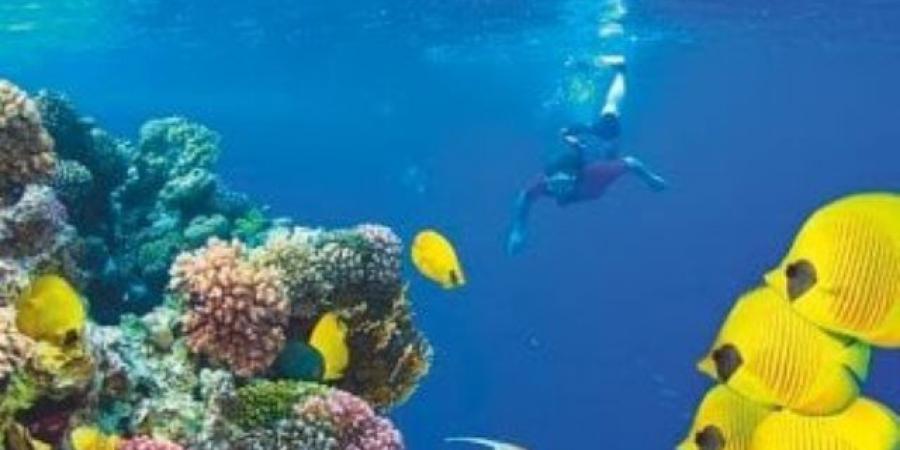 تضاهى المالديف وسيشل.. «ديلى ميل» تتغنى بمناخ مصر فى فبراير ومارس