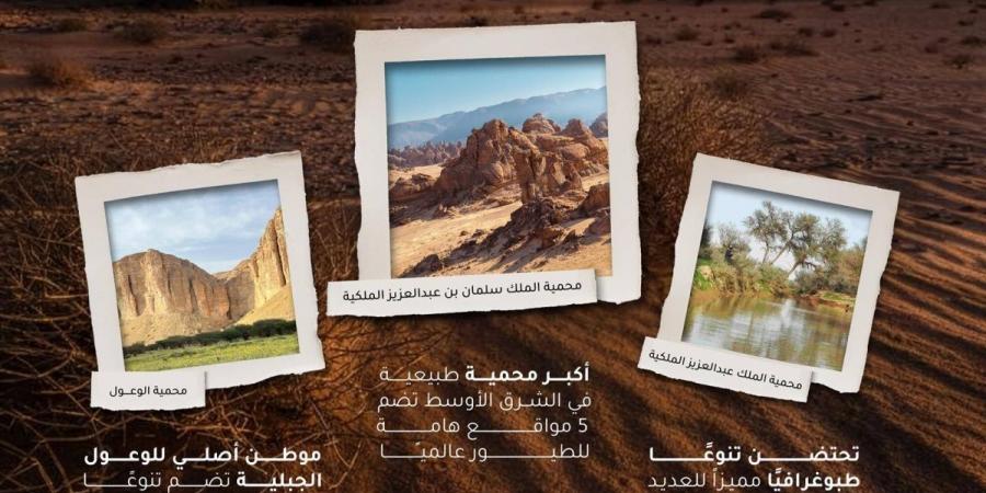 المنظومة الطبيعية ترسخ ريادة المملكة عالميا في الاستدامة البيئية