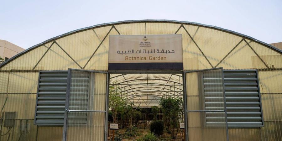 حديقة النباتات الطبية بجامعة نجران.. مبادرة تعزز التعليم والبحث العلمي